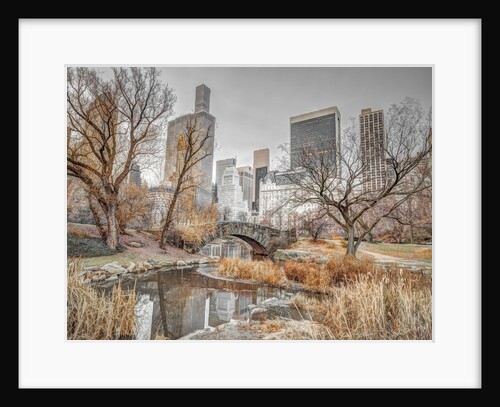 Central park, New York by Assaf Frank